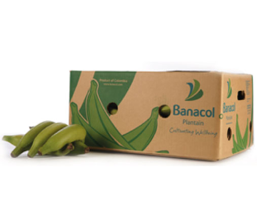 Banacol PP2