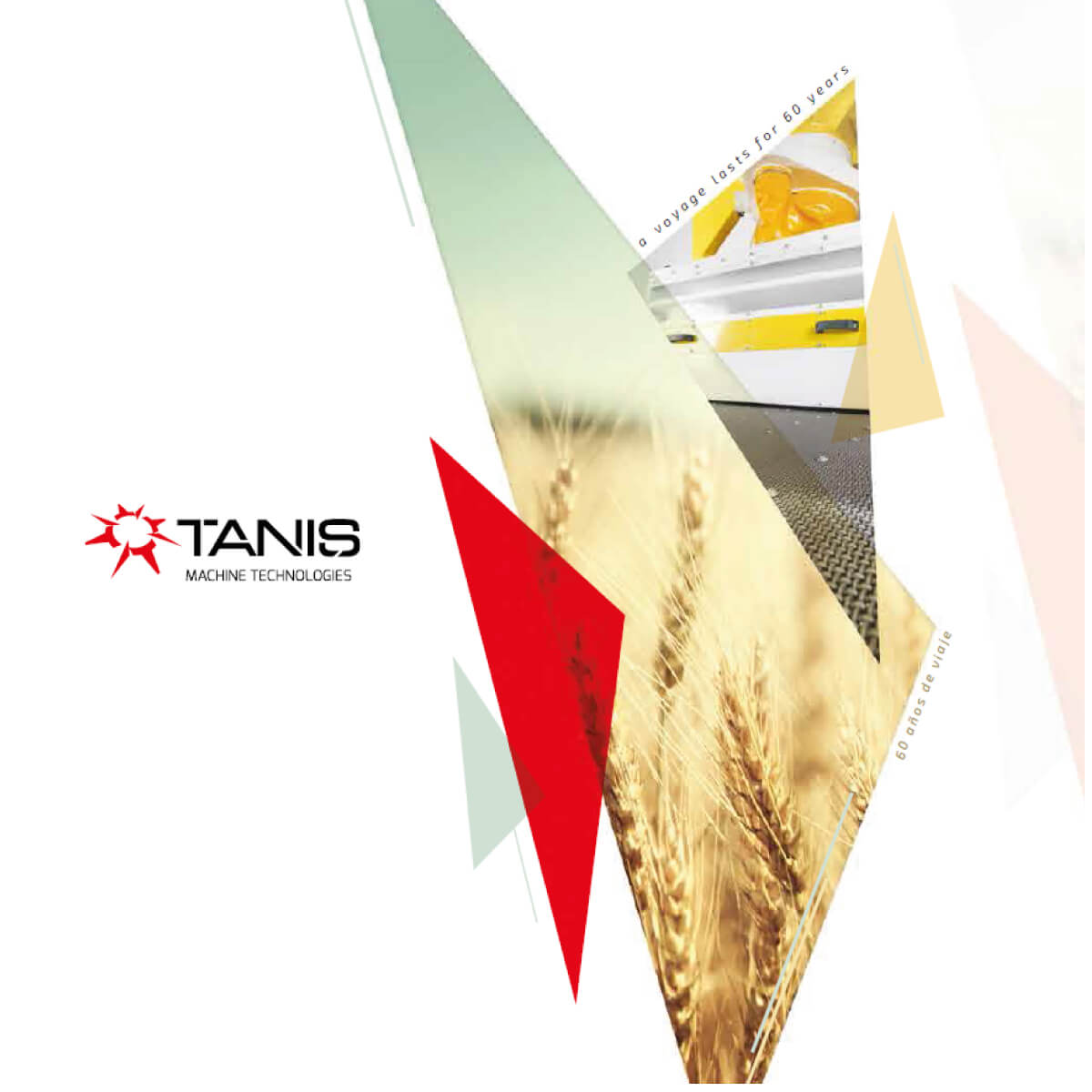 Tanis
